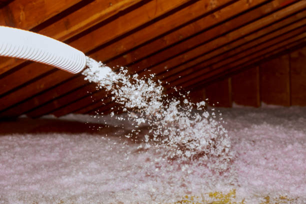 Best Affordable Insulation Services  in Canon, GA